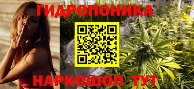 крисы Ангарск
